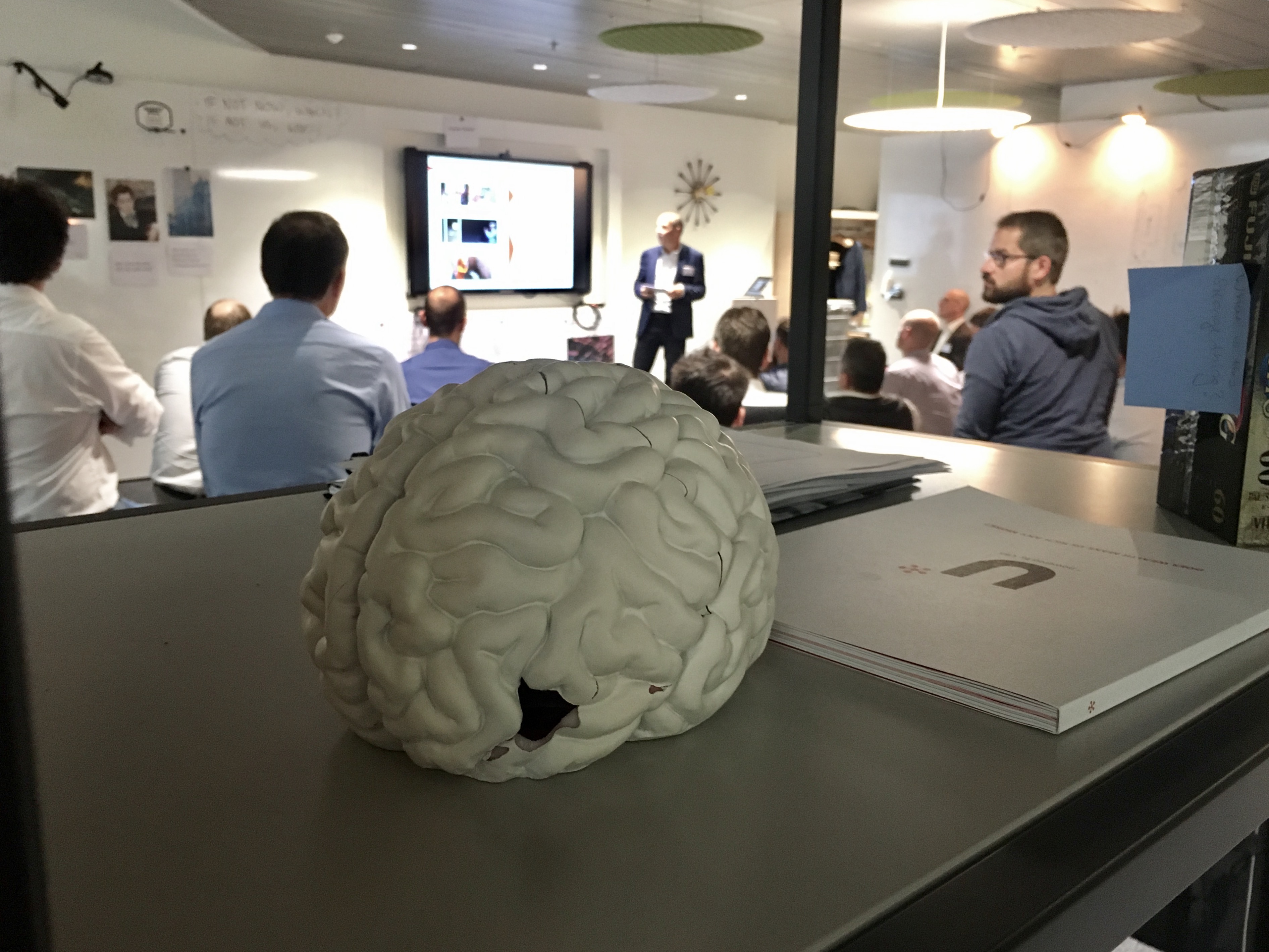 brain