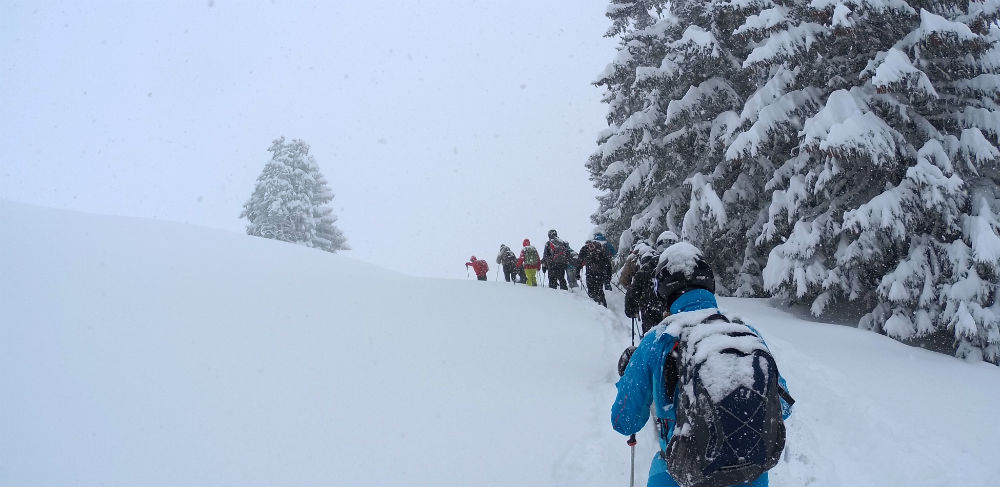 Das OWT-Team trifft sich in Leysin für das diesjährige Winter-Event